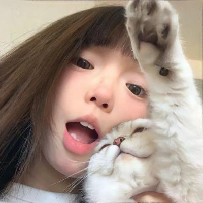 布利斯避难所